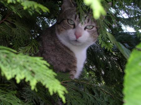Mon Biboune d'amour