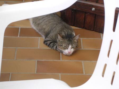 Trop dur la vie !